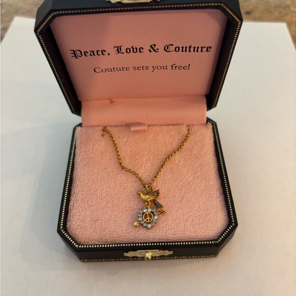 Juicy Couture necklace with box
